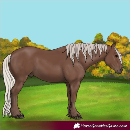 Horse Color:Silver Black 
