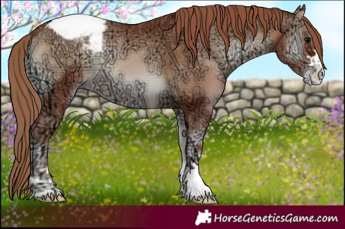 Horse Color:Blue Onyx Ice Pearl Appaloosa 