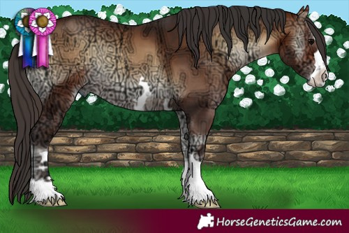 Horse Color:Bay Ice Onyx 