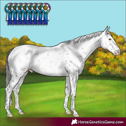 Horse Color:Brown Dun Sabino Rabicano Brindle 