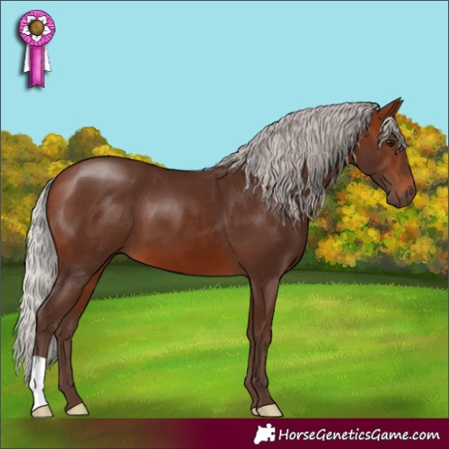 Horse Color:Silver Bay 