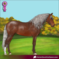 Horse Color:Silver Bay 