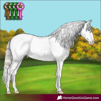 Horse Color:Chocolate Palomino Pearl Dun Mushroom Sabino 