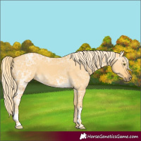 Horse Color:Palomino Ice Dun 
