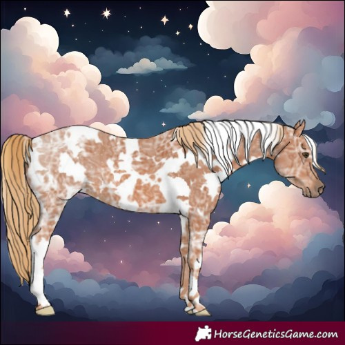 Horse Color:White Spotted Chestnut Ice 