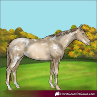 Horse Color:White Spotted Smoky Black Pearl 