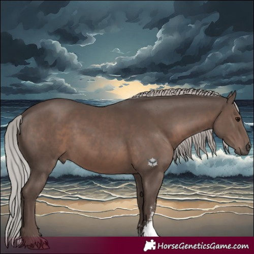 Horse Color:Silver Black Mushroom Sabino 