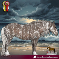 Horse Color:Silver Smoky Grullo Mushroom Sabino  and Silver Black Mushroom 