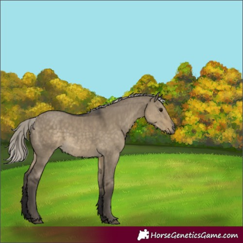 Horse Color:Silver Smoky Grullo Mushroom 