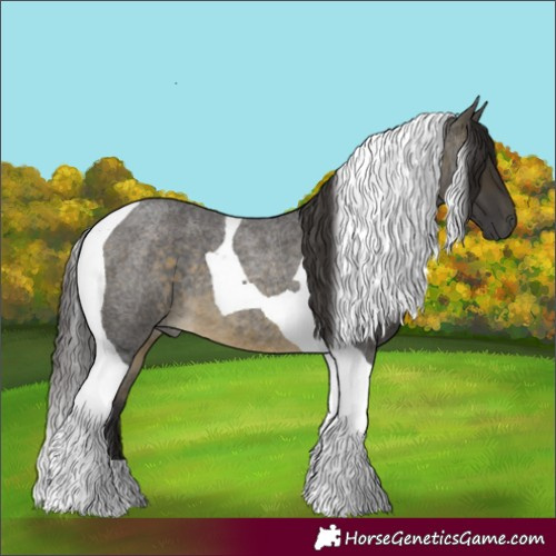 Horse Color:Buckskin Roan Tobiano