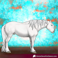 Horse Color:Cremello 