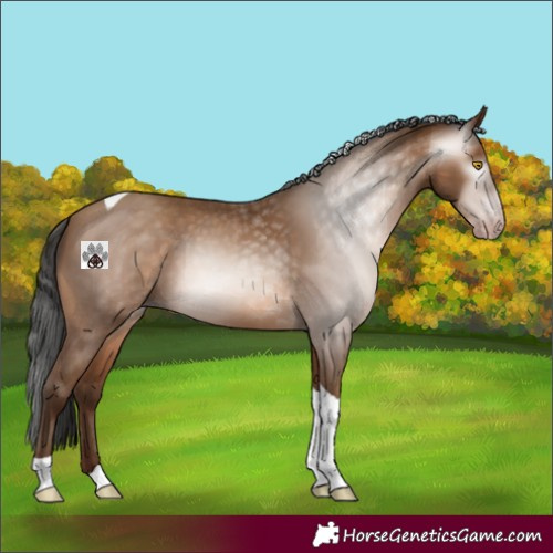 Horse Color:Gray Amber Champagne Tobiano
