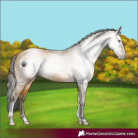 Horse Color:Gray Amber Cream Champagne Tobiano 