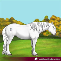 Horse Color:Gray Silver Amber Cream Champagne Tobiano 