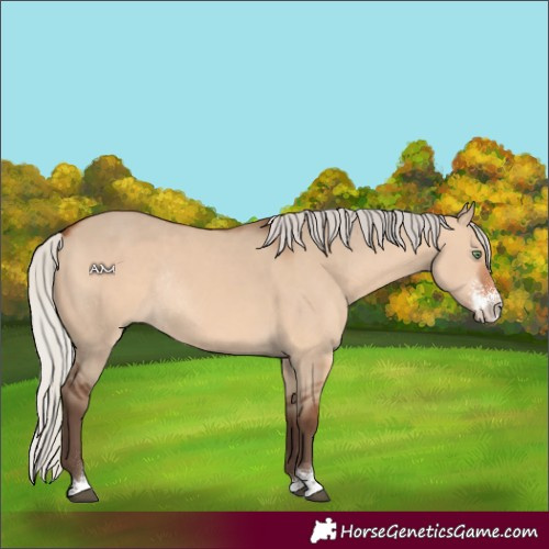 Horse Color:Silver Brown Dun Sabino Rabicano 