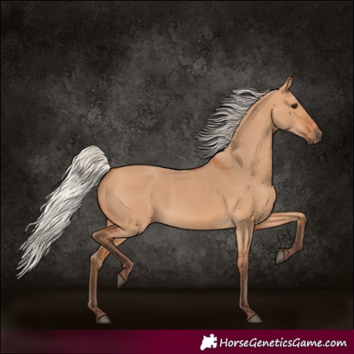 Horse Color:Silver Bay Dun 