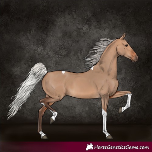 Horse Color:Silver Brown Dun Tobiano 