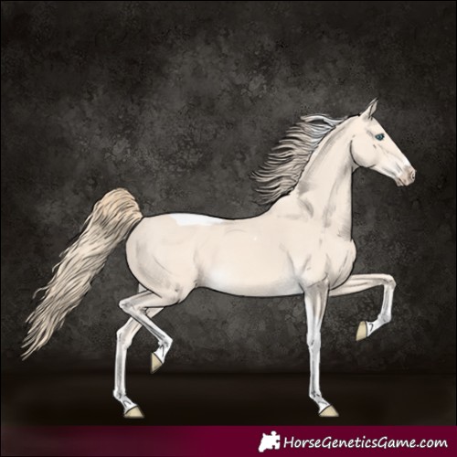 Horse Color:Perlino Tobiano 