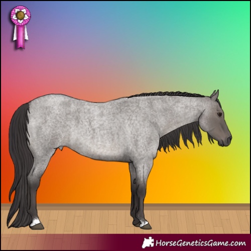 Horse Color:Smoky Grullo Roan 