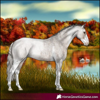 Horse Color:Silver Grullo Roan Sabino 