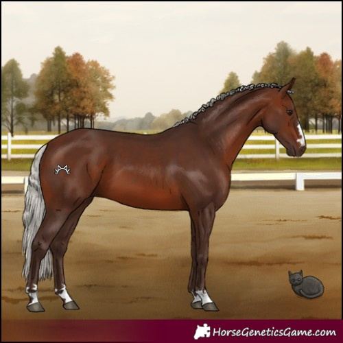 Horse Color:Silver Brown 