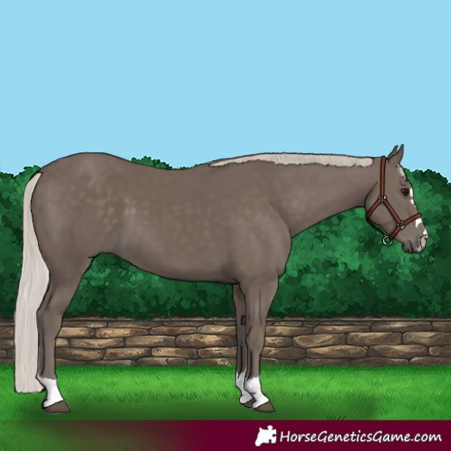 Horse Color:Silver Black 