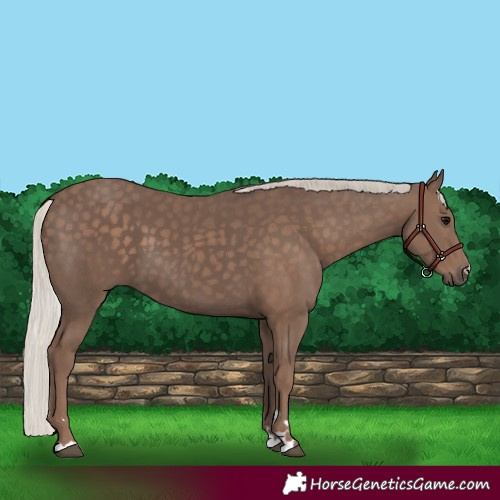 Horse Color:Silver Black 