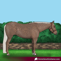 Horse Color:Silver Black 