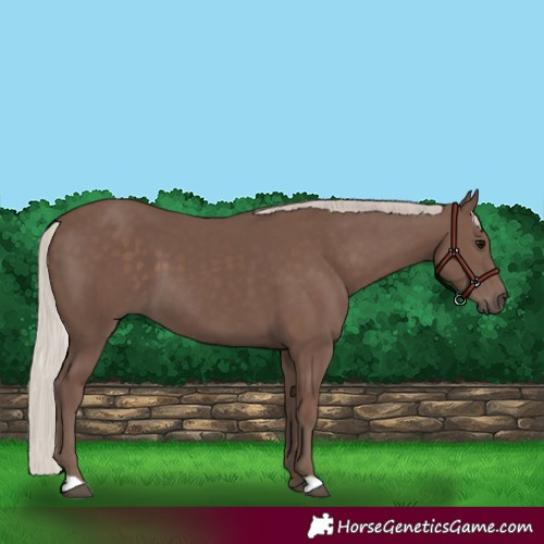 Horse Color:Silver Black 