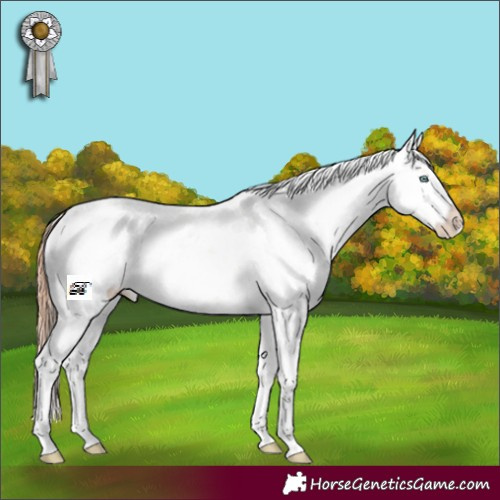 Horse Color:Sable Champagne Pearl Sabino 