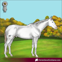 Horse Color:Sable Champagne Pearl Sabino