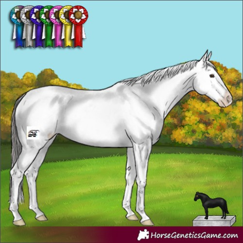 Horse Color:Black Sabino Varnish 