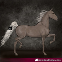 Horse Color:Silver Black