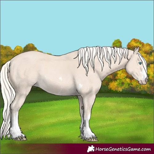Horse Color:Unknown 