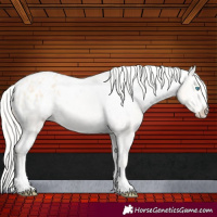 Horse Color:Cremello Varnish 