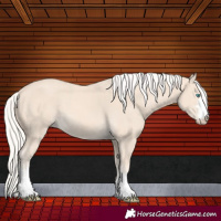 Horse Color:Cremello 