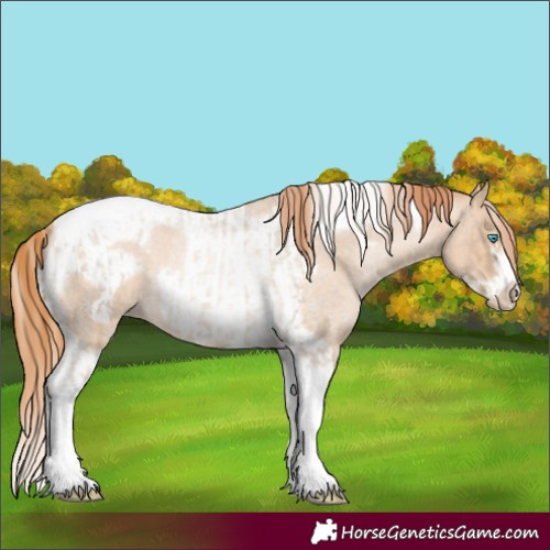 Horse Color:Chocolate Palomino Roan Pearl Tobiano Frame  and Buckskin Roan Pearl Tobiano Frame 