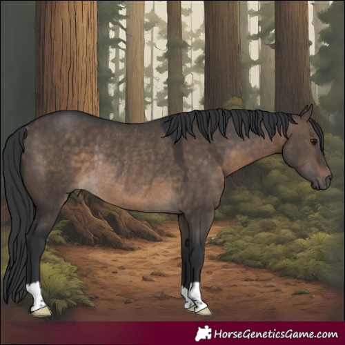 Horse Color:Brown Dun Rabicano 