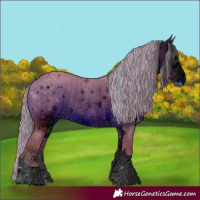 Horse Color:ERROR: UNKNOWN ANOMALY
