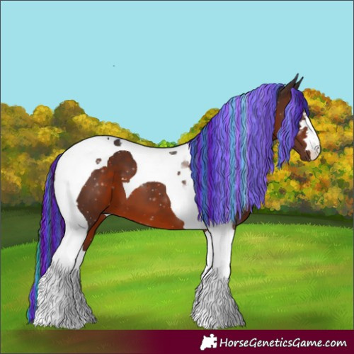 Horse Color:Painted Brown Tobiano 