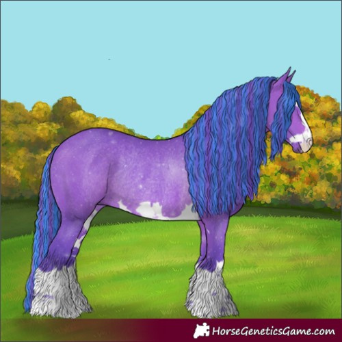 Horse Color:Painted Watercolor Bay Rabicano