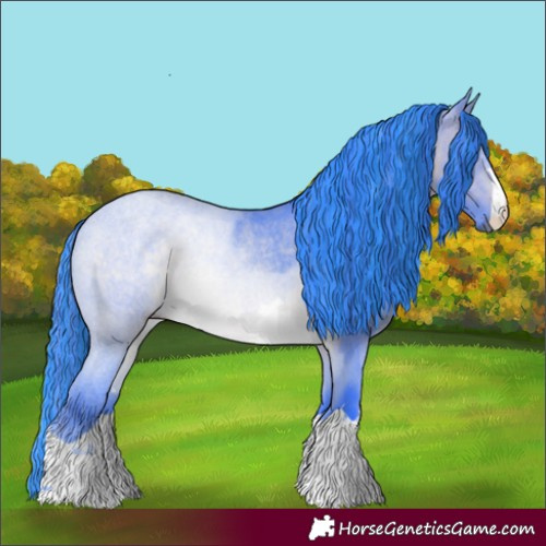 Horse Color:Painted Watercolor Bay Chinchilla Rabicano 