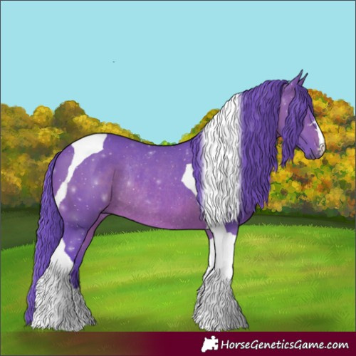 Horse Color:Watercolor Brown Tobiano Rabicano 
