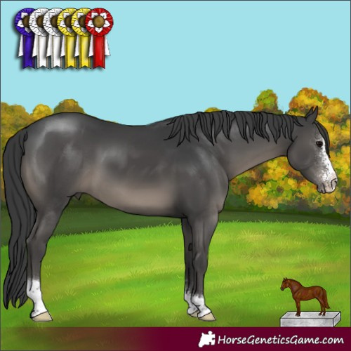 Horse Color:Black Sabino 