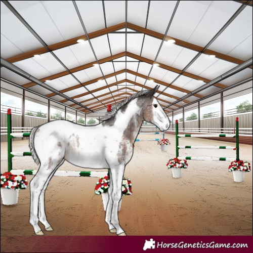 Horse Color:Silver Brown Sabino Splash Tobiano Varnish Rabicano 