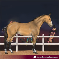 Horse Color:Buckskin 