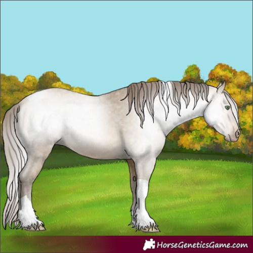 Horse Color:Gray Amber Cream Champagne Tobiano Varnish