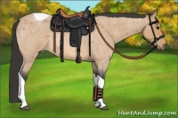 Horse Color:Buckskin Roan Tobiano 