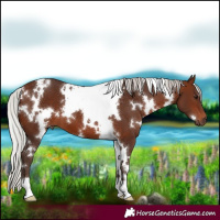 Horse Color:White Spotted Silver Brown 