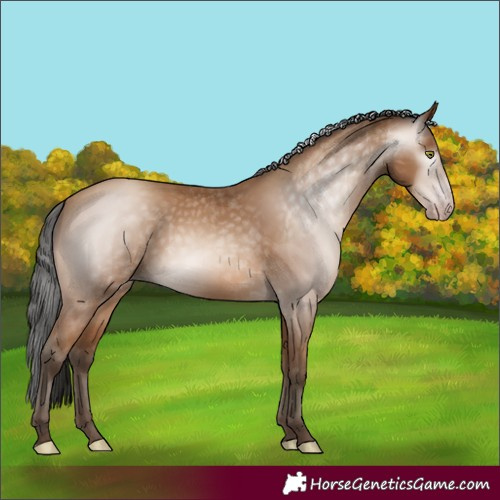 Horse Color:Gray Amber Champagne 